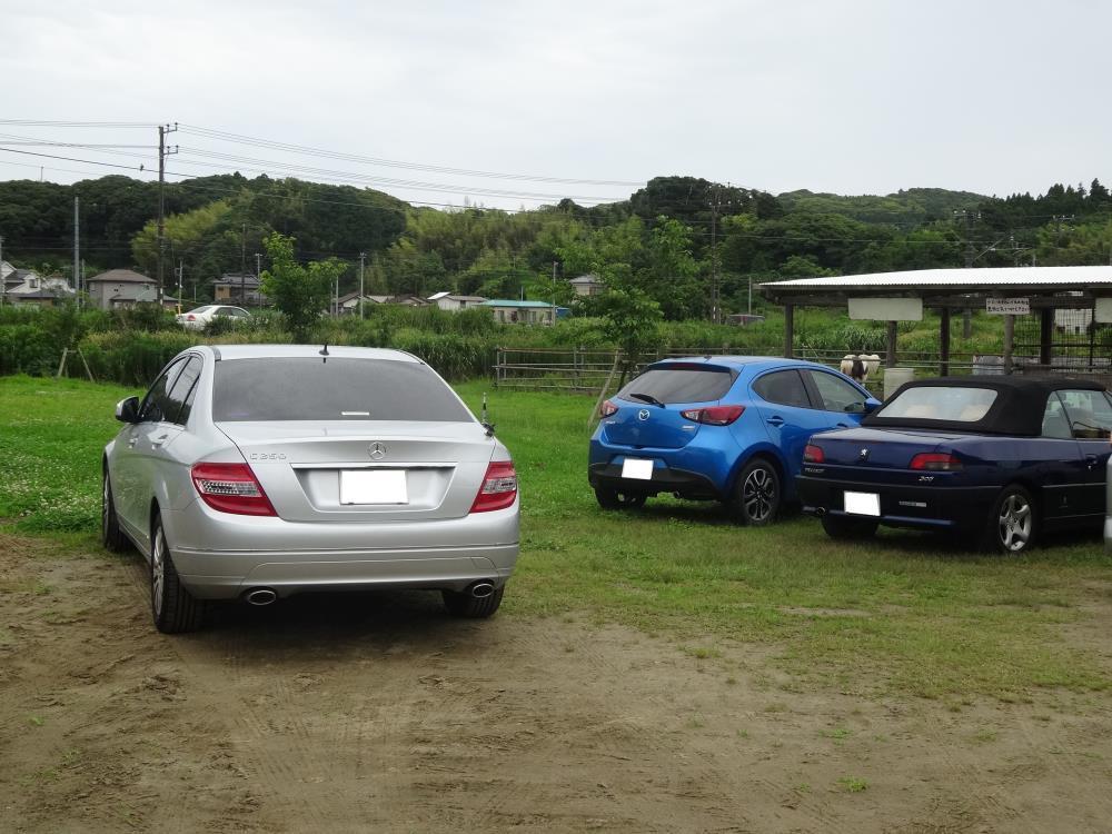 DSC00519 - コピー.JPG